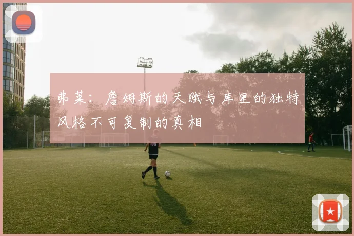 弗莱：詹姆斯的天赋与库里的独特风格不可复制的真相